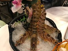 -鲜入围煮花胶鸡海鲜火锅