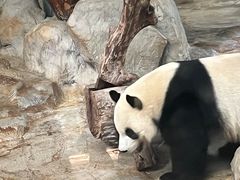 -海南热带野生动植物园