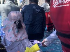 -苏州乐园森林水世界