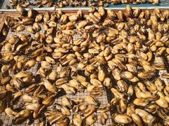 -蚝乡农庄(铁涌赤岸店)