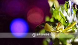 -新锦江大酒店·宴会厅·婚宴
