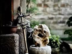 -道南書院·私房菜·早午茶·茶馆