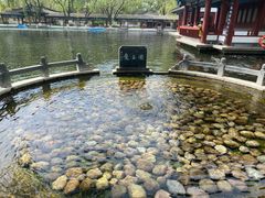 -百脉泉景区