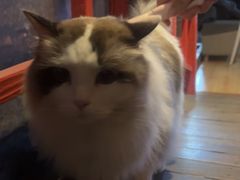 -白兔子密室(长寿路店)