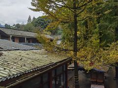 -青城山