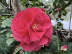 -Yee3·三号椰(上海中山公园龙之梦店)