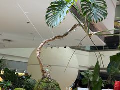 -枕水江南(铁西万象汇店)