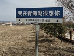 -青海湖国家重点风景名胜区