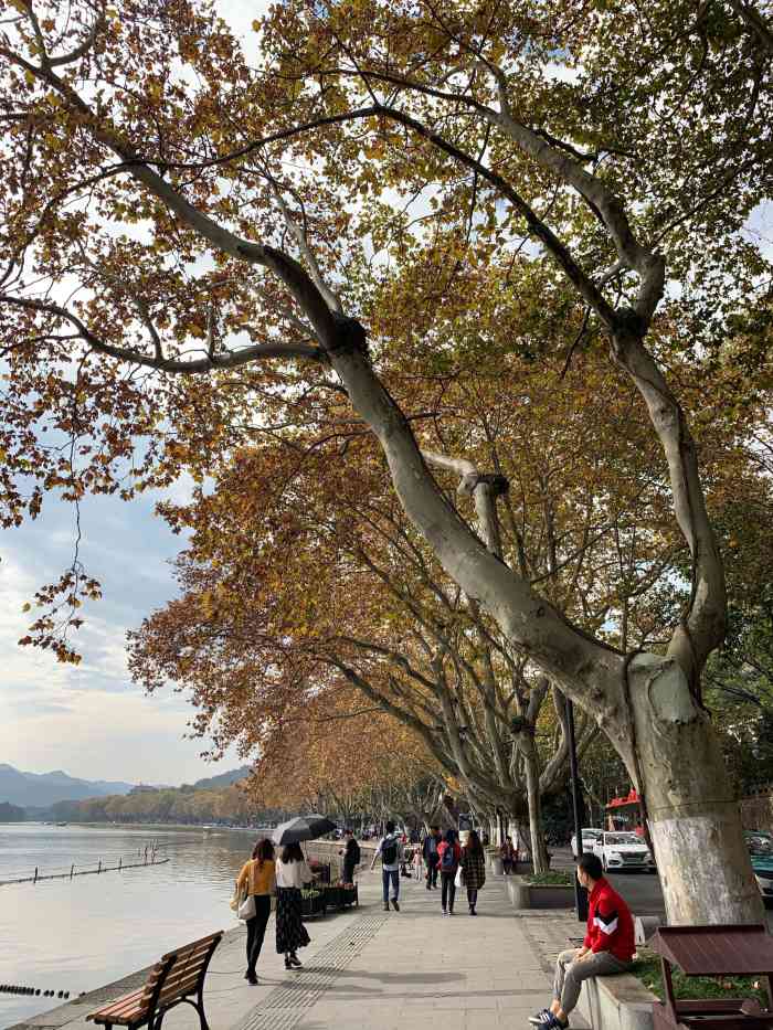 北街梦寻-"趁冬天天气晴好的时候去西湖边走一走,暖阳.