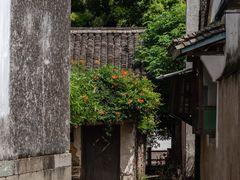 -鸣鹤古镇