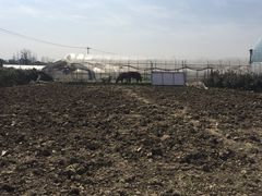 -小鱼草莓采摘园农家乐·小鱼餐厅