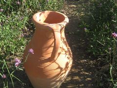 -紫海香堤香草艺术庄园