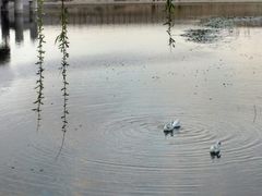 -北京天湖会议中心