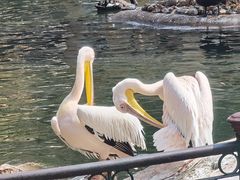 -昆明动物园