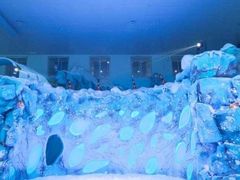 -零度滑雪室内训练中心(莘庄店)