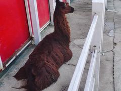 -齐齐哈尔龙沙动植物园