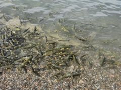 -青海湖二郎剑景区