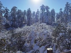 -瓦屋山景区