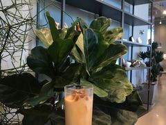 -dotcom coffee古点咖啡(致真大厦店)