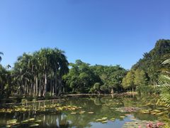 -中国科学院西双版纳热带植物园