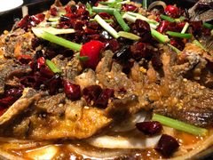-老板恋上鱼(高新万达店)