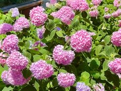 -常州古运河南大街文化旅游区-人民公园