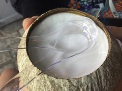 -椰爺爺·椰子冻砵仔糕