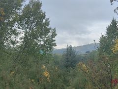 -青藏高原野生动物园