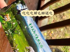 -普洱太阳河森林公园