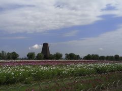 -漩门湾国家湿地公园