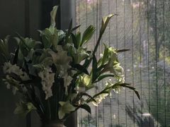 -九月里.自由花园餐厅