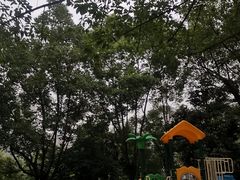 -龙头寺公园
