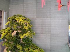 -虹泥小厨(南国花园总店)