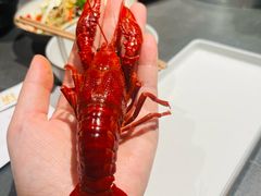 -巴厘龙虾·榜首油焖大虾(洞庭·艺术洋房店)