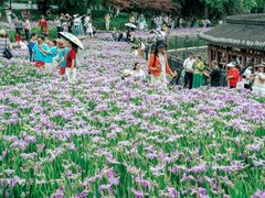 -龙头寺公园