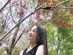 -重庆彩云湖湿地公园