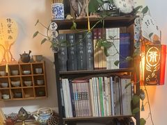 -诗宇时光茶艺书法古琴培训