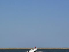 -东疆理想海岸沙滩景区
