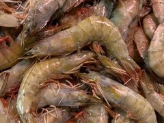 -韩家墅海吉星农产品批发市场