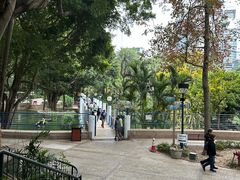 -九龙公园