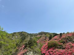 -木兰云雾山