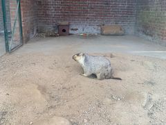 -青岛森林野生动物世界