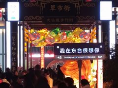 -东台西溪天仙缘景区