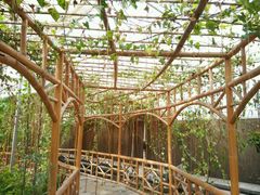 android_upload_pic-水镜湖