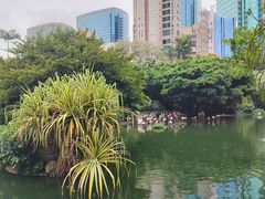 -九龙公园