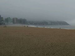 -海云台海滩