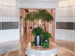 -阿纳迪酒店·秘境西餐厅