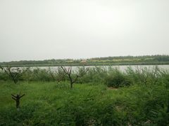 -西青郊野公园
