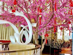 -金轩中餐厅 Jin Xuan(浦东丽思卡尔顿酒店)