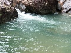 -广州白江湖森林公园